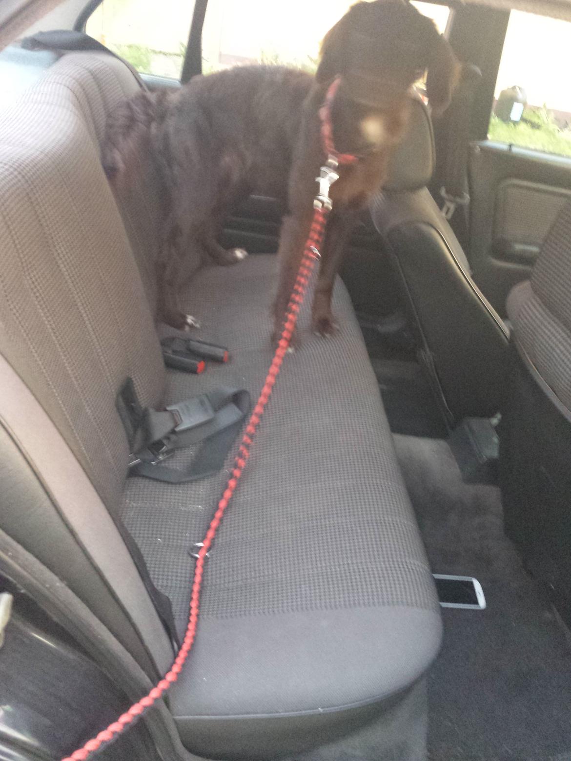 hvem ejer denne her bmw e30  billede 11