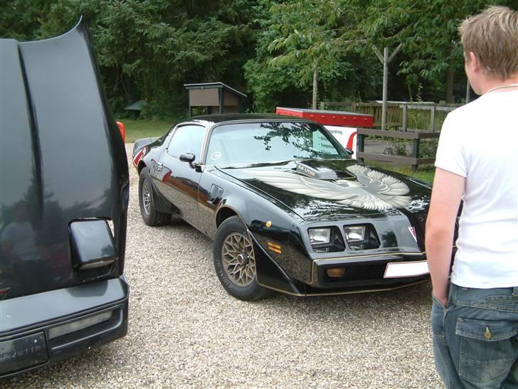 Mega Meet i Action Parken I Tørring d. 10.08.2007 billede 4