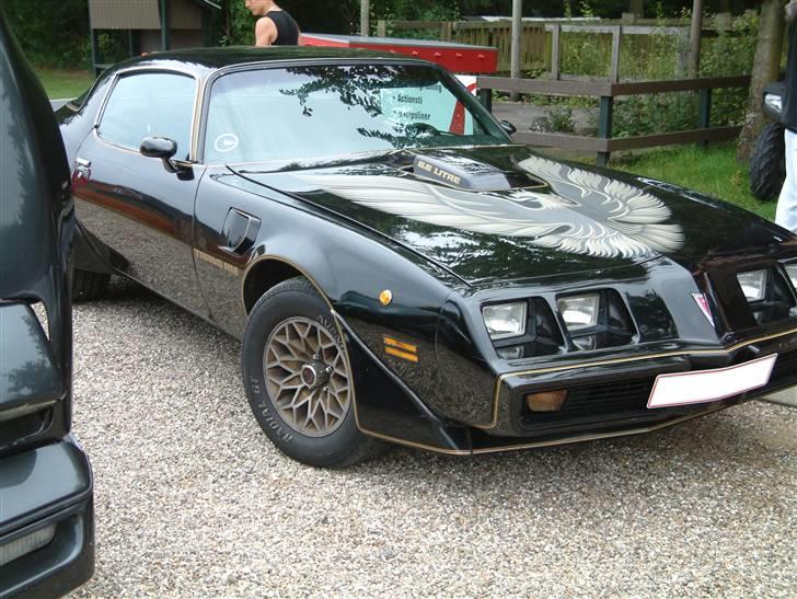 Mega Meet i Action Parken I Tørring d. 10.08.2007 billede 5