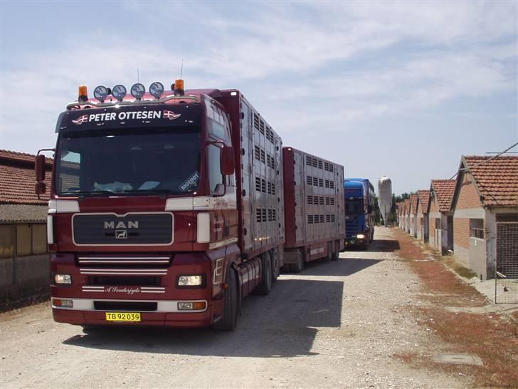 Mine lastbiler gennem tiden - Mandy... en søster til manja.... he he.... TGA 530 med fuld luft og alt!
dog ganske kortvarigt jeg kørte hende. billede 9
