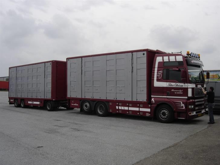 Mine lastbiler gennem tiden - Mandy... en søster til manja.... he he.... TGA 530 med fuld luft og alt! billede 14