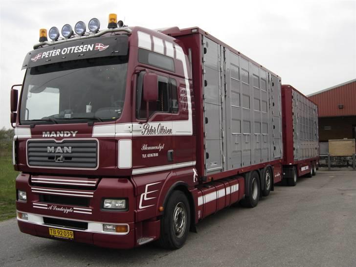 Mine lastbiler gennem tiden - Mandy... en søster til manja.... he he.... TGA 530 med fuld luft og alt! billede 15