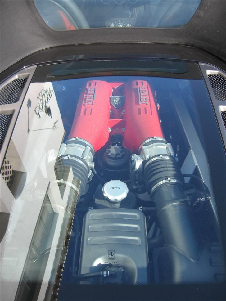 Fedeste biler fra Puerto banus billede 16