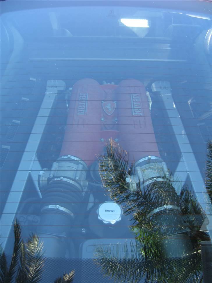 Fedeste biler fra Puerto banus billede 18