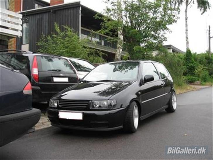 Billeder af Poloen lige da den var lavet + Random billede 1