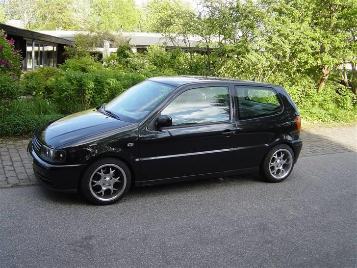 Billeder af Poloen lige da den var lavet + Random billede 3