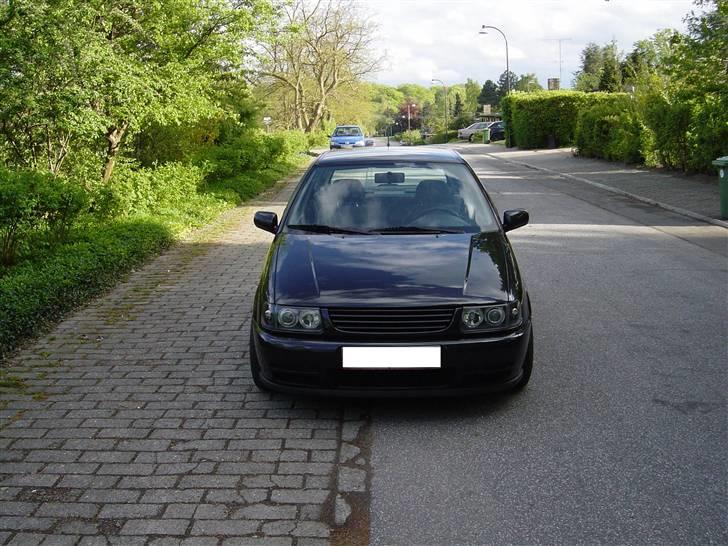 Billeder af Poloen lige da den var lavet + Random billede 4