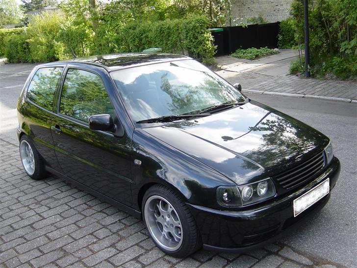 Billeder af Poloen lige da den var lavet + Random billede 5