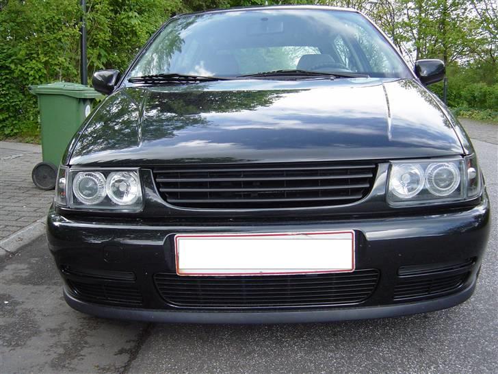 Billeder af Poloen lige da den var lavet + Random billede 6