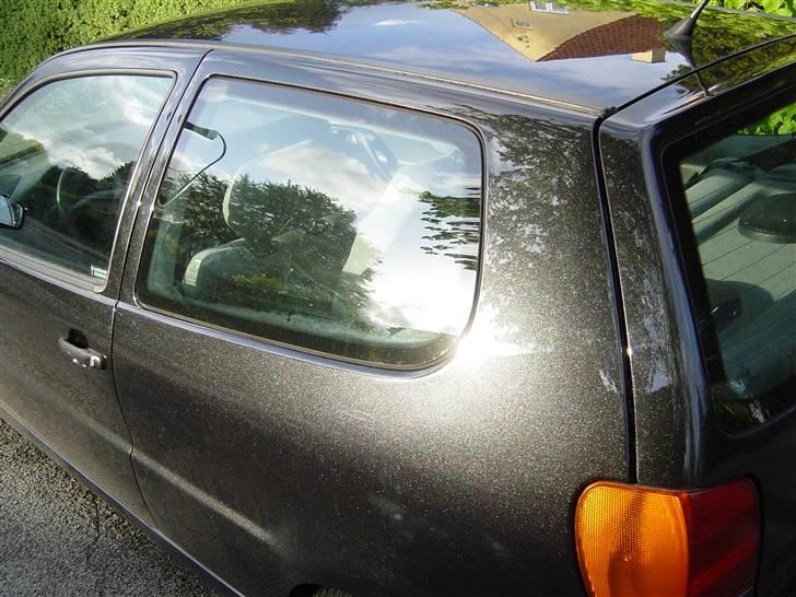 Billeder af Poloen lige da den var lavet + Random billede 9