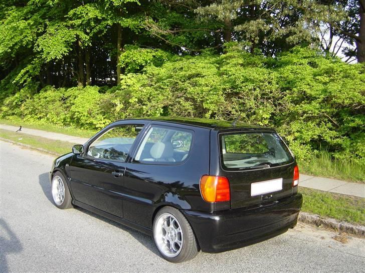 Billeder af Poloen lige da den var lavet + Random billede 11