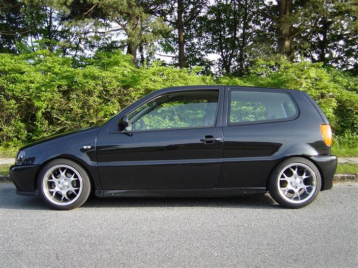 Billeder af Poloen lige da den var lavet + Random billede 12