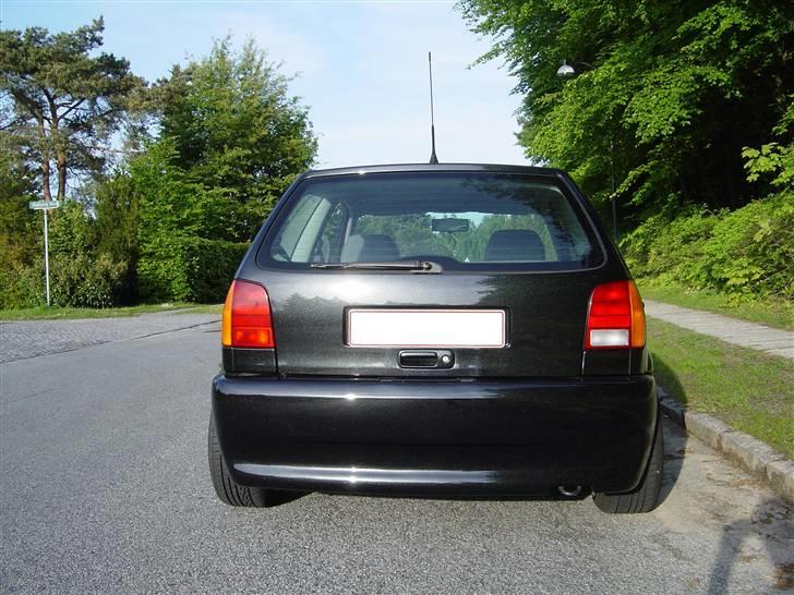 Billeder af Poloen lige da den var lavet + Random billede 13