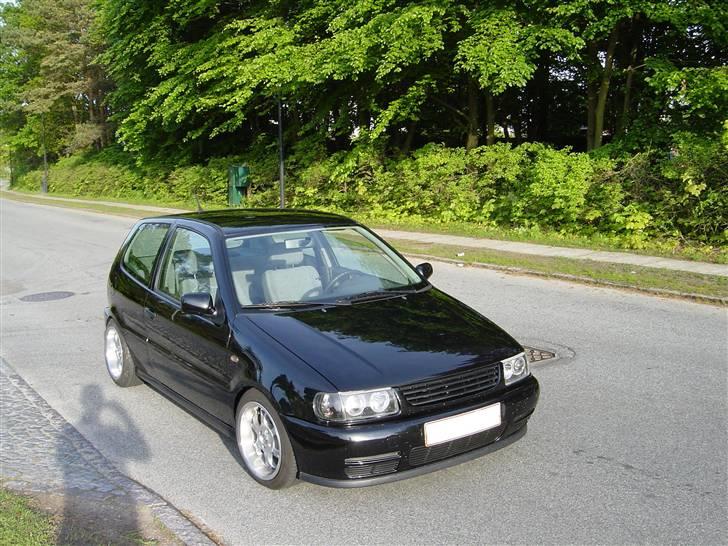 Billeder af Poloen lige da den var lavet + Random billede 14