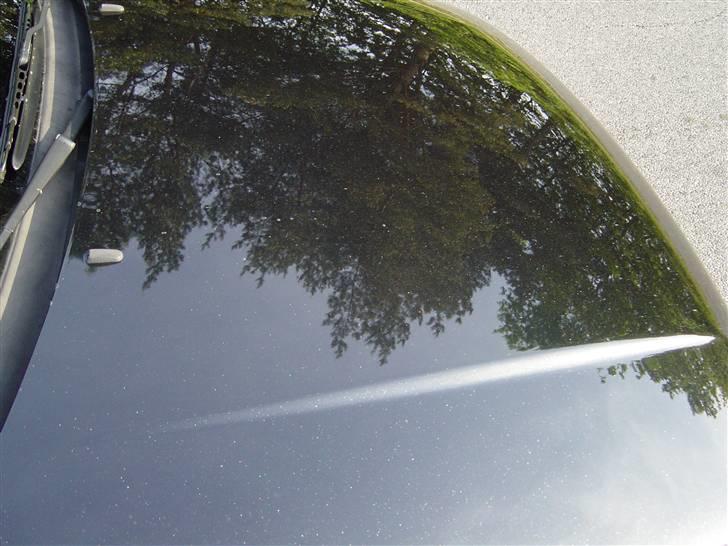 Billeder af Poloen lige da den var lavet + Random billede 15