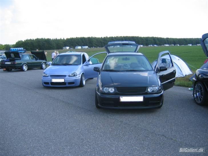 Billeder af Poloen lige da den var lavet + Random billede 17