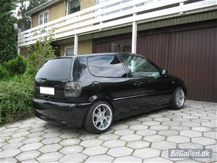 Billeder af Poloen lige da den var lavet + Random billede 26