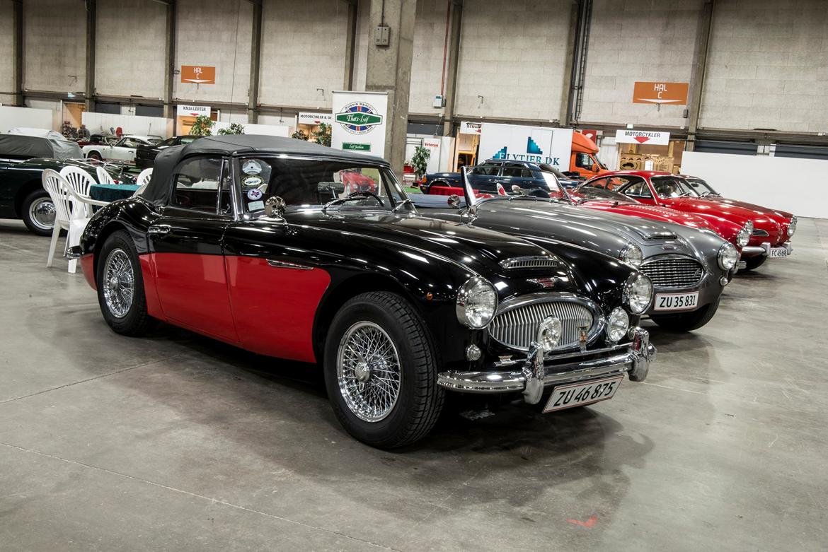 Bilmesse & Brugtmarked, Fredericia billede 15