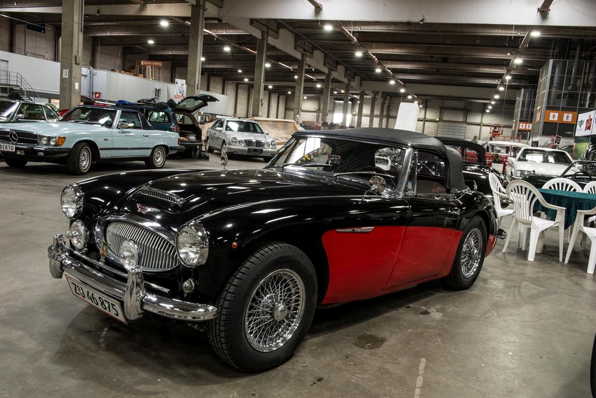 Bilmesse & Brugtmarked, Fredericia billede 16