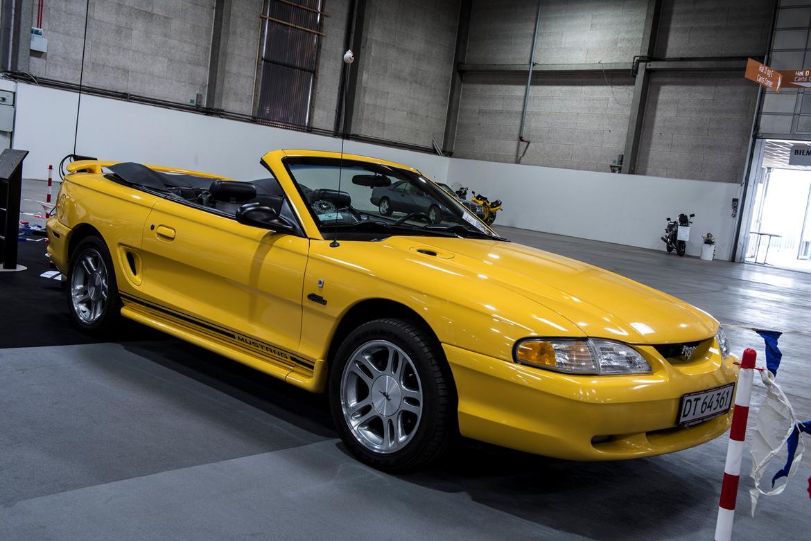 Bilmesse & Brugtmarked, Fredericia billede 38