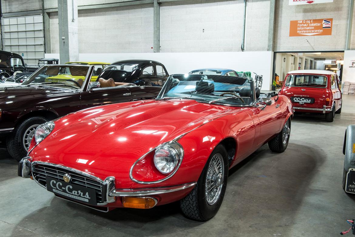 Bilmesse & Brugtmarked, Fredericia billede 42