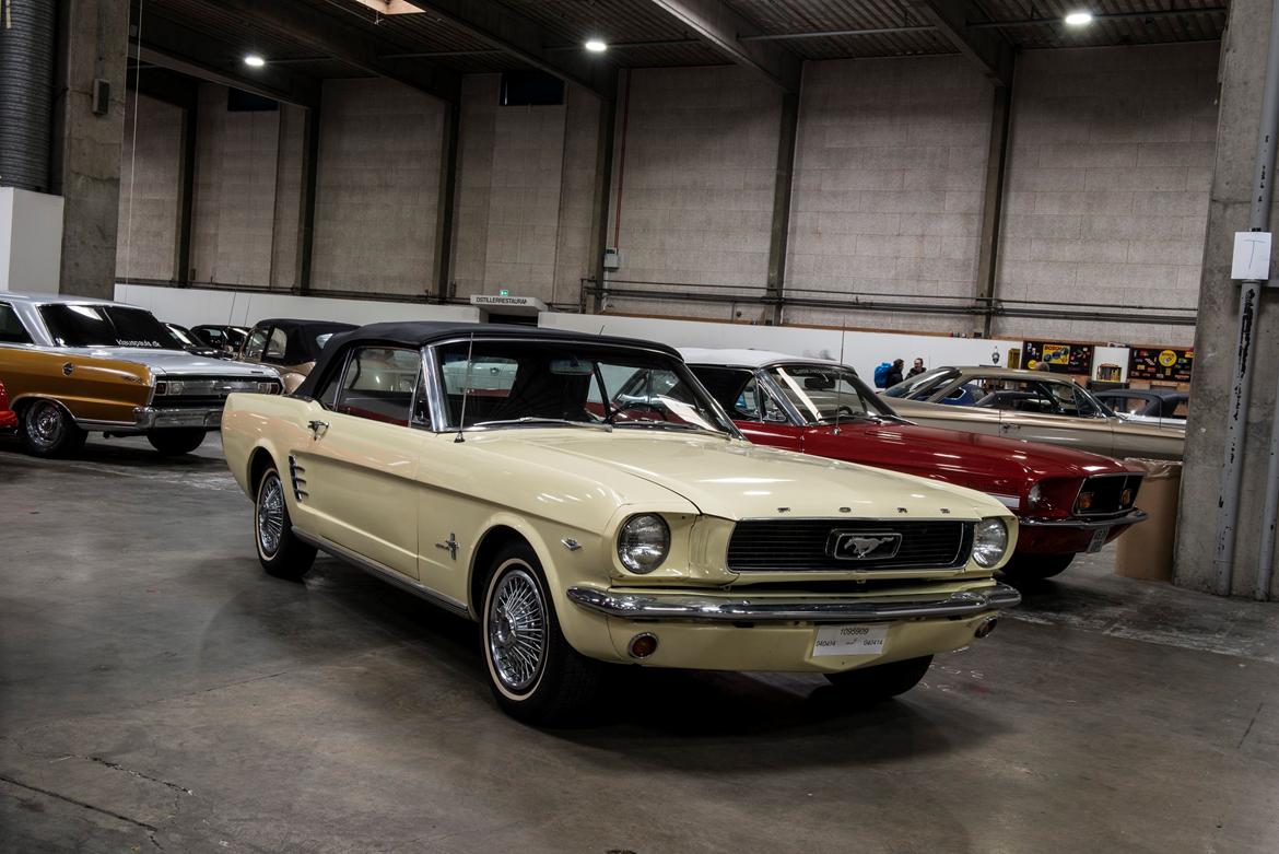 Bilmesse & Brugtmarked, Fredericia billede 54