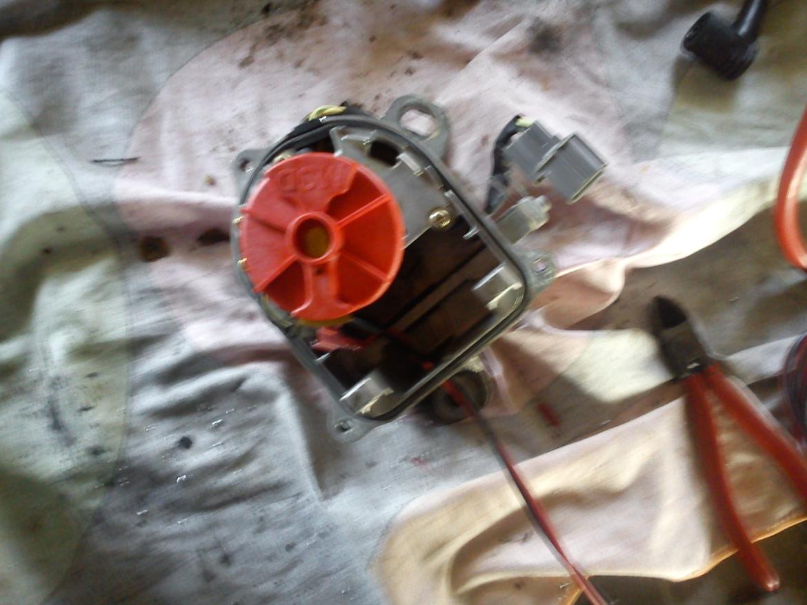 Montering af MSD tænding - Honda Accord Type R billede 5