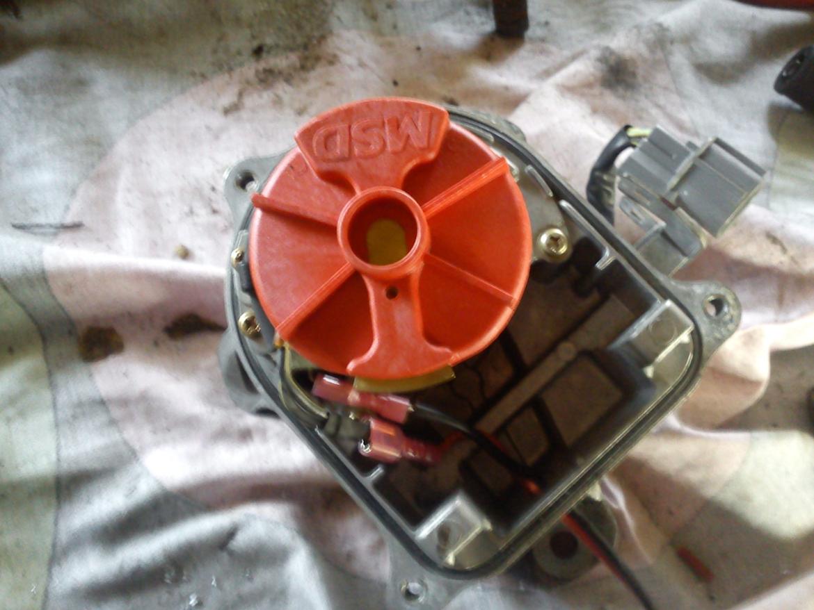 Montering af MSD tænding - Honda Accord Type R billede 6