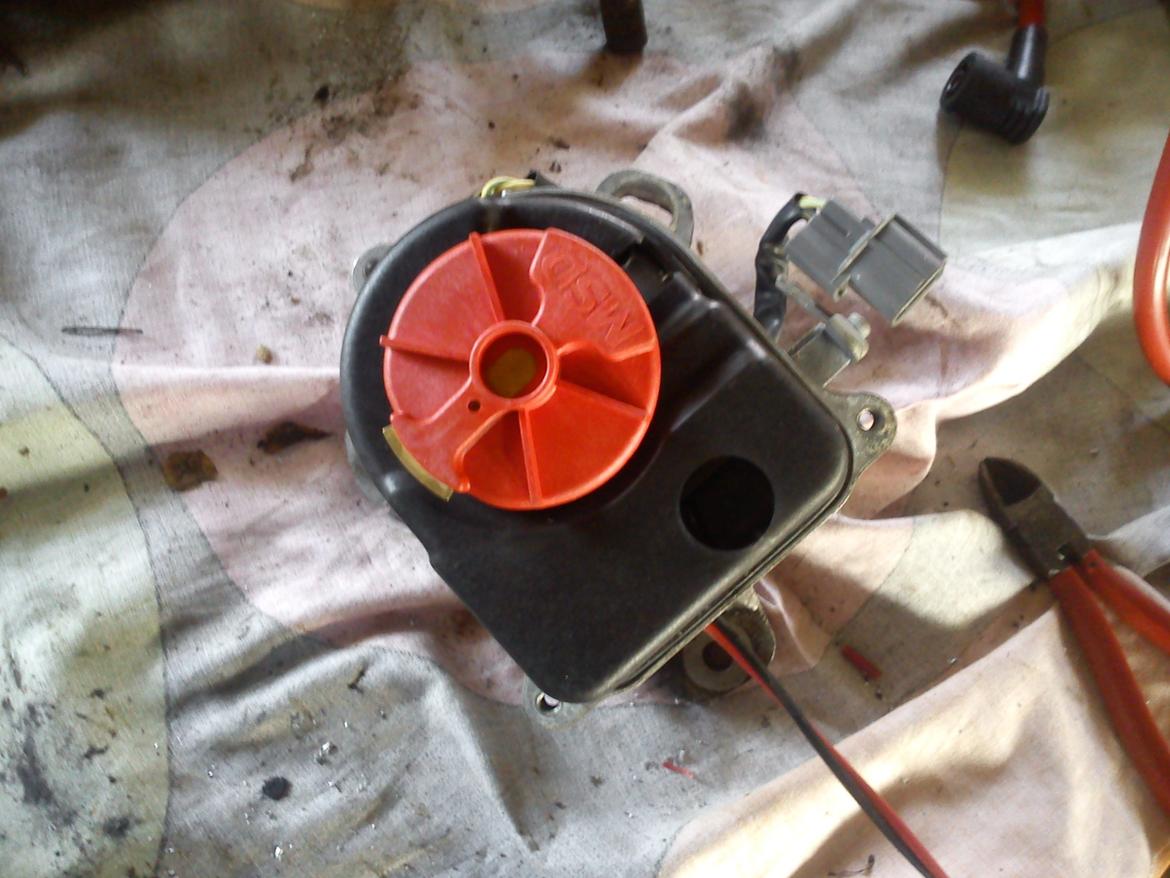 Montering af MSD tænding - Honda Accord Type R billede 8