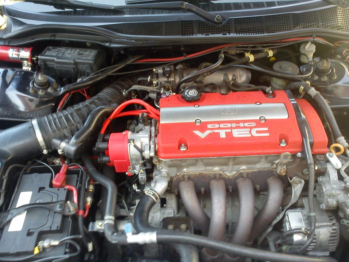 Montering af MSD tænding - Honda Accord Type R billede 12