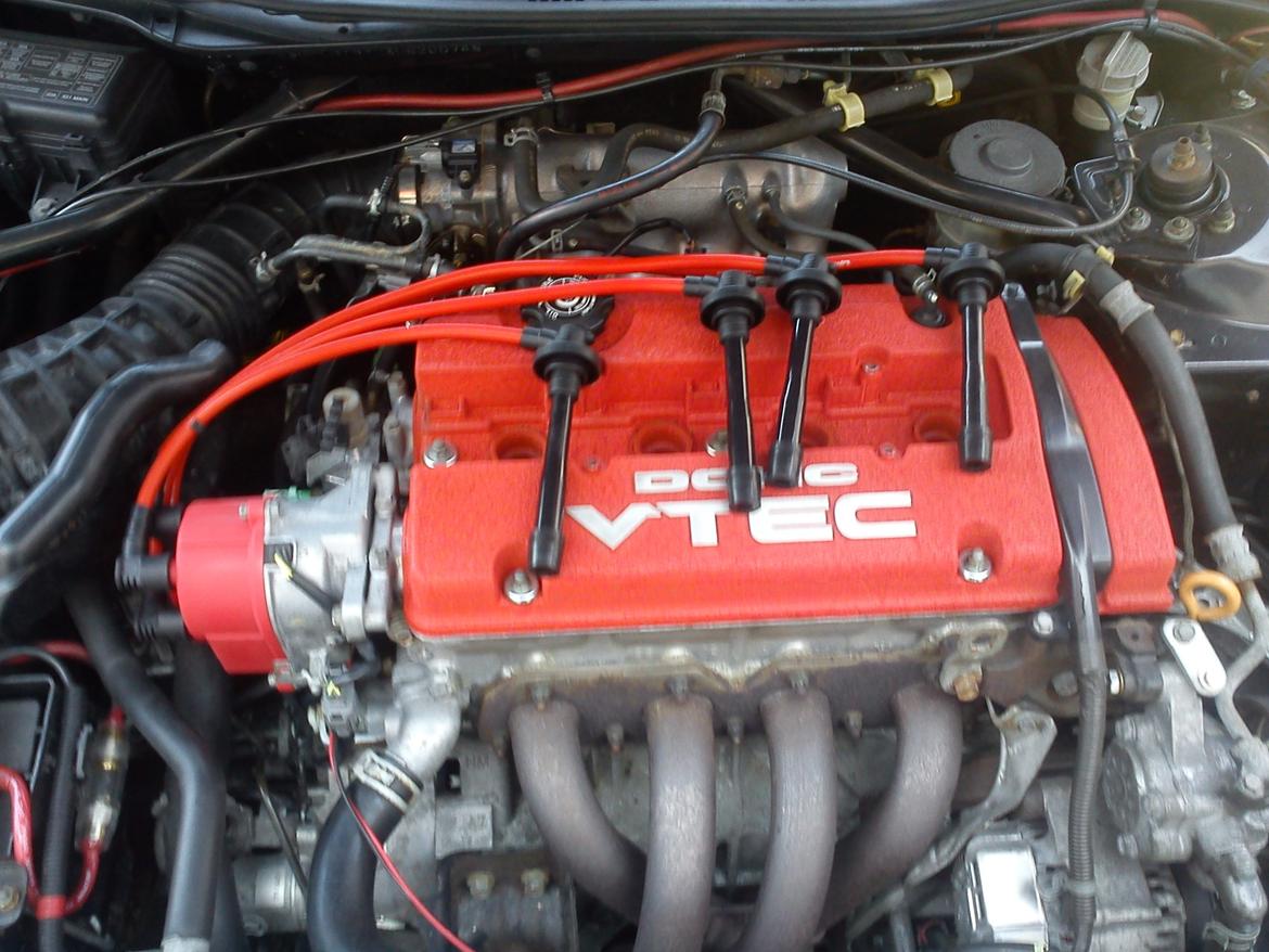 Montering af MSD tænding - Honda Accord Type R billede 10