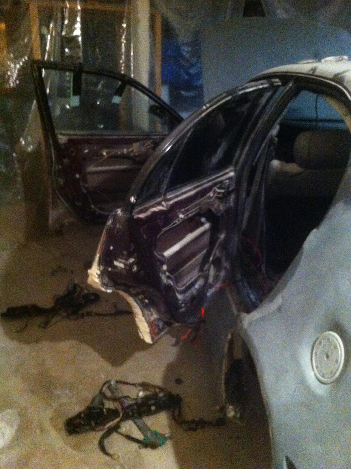 Carina E-xtreme - Alle døre strippet for rudehejs billede 181