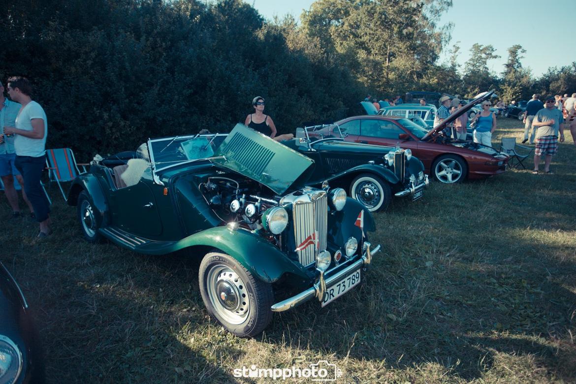 Kalø Træf uge 30 billede 5