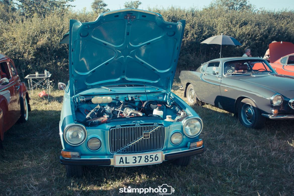 Kalø Træf uge 30 billede 15