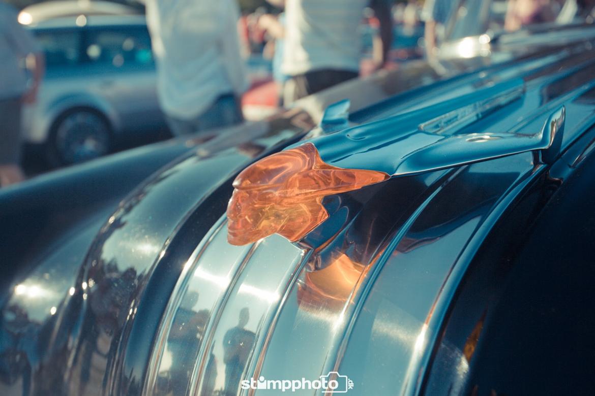 Kalø Træf uge 30 billede 59