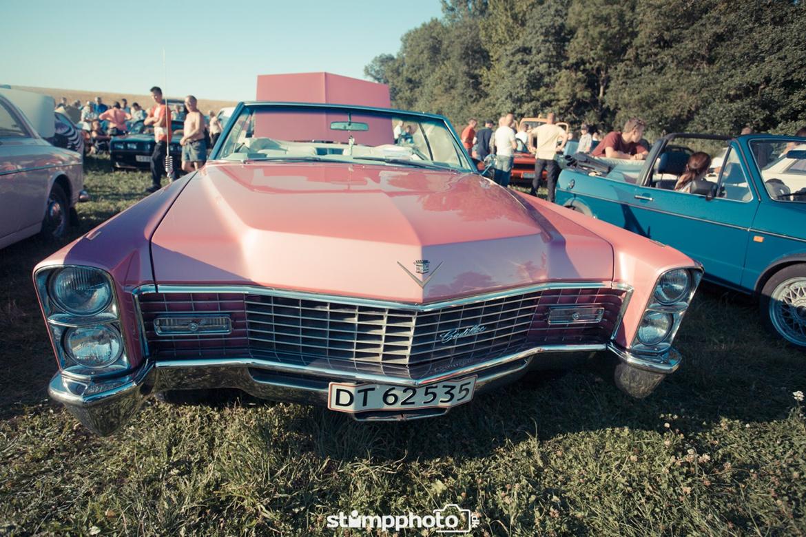 Kalø Træf uge 30 billede 87