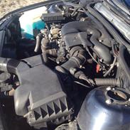 Lækker Kongeblå E46