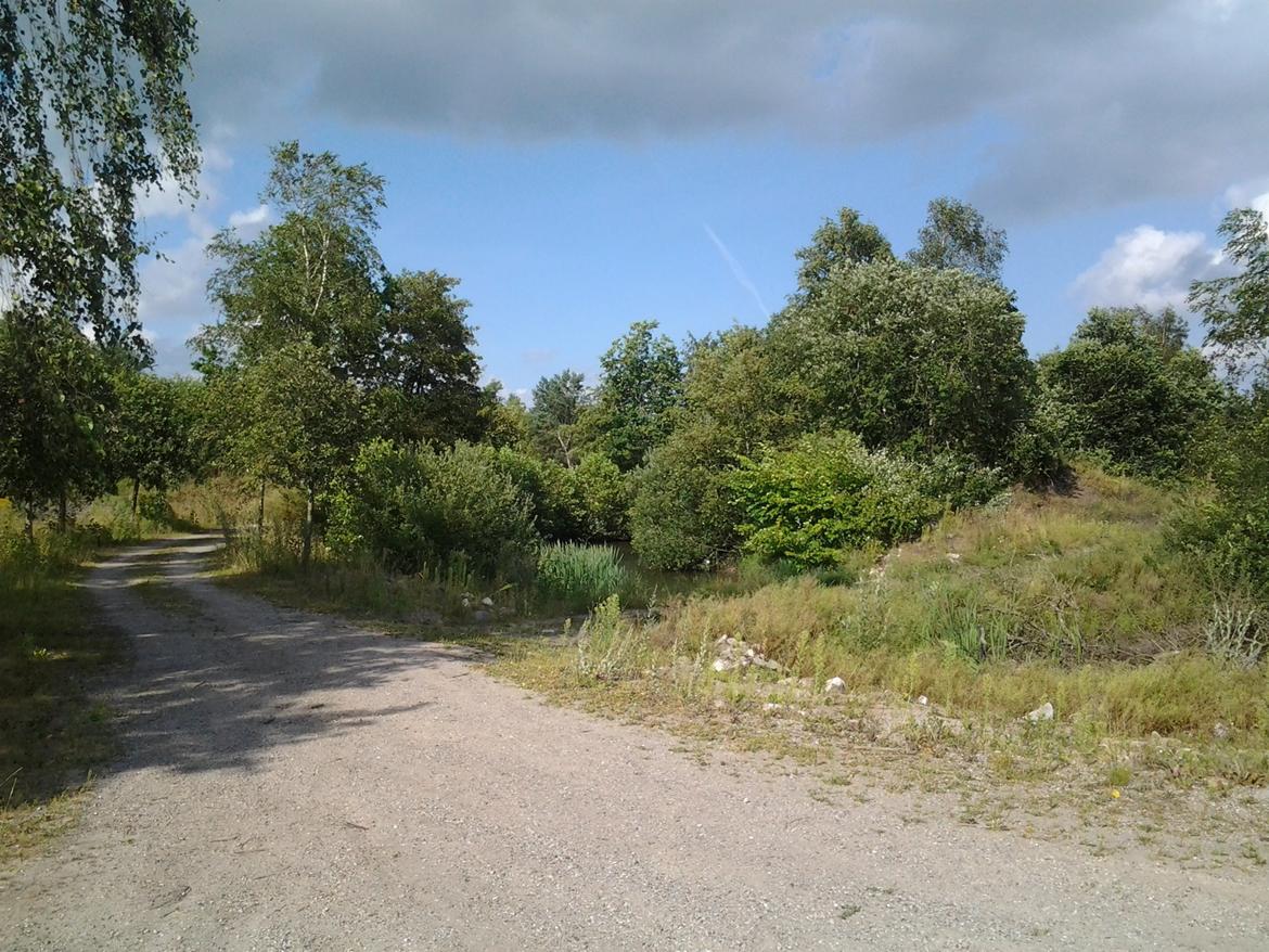 Tur i Forladt Sommerland Syd billede 29