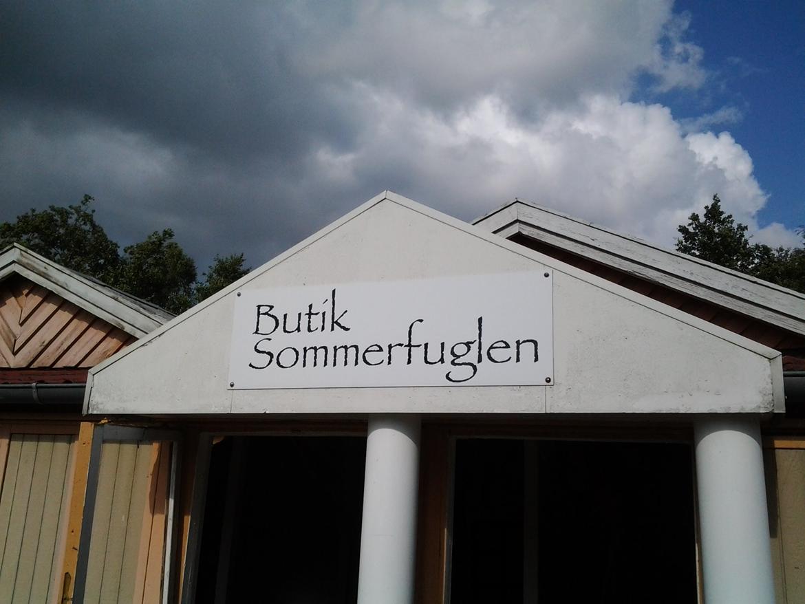 Tur i Forladt Sommerland Syd billede 30