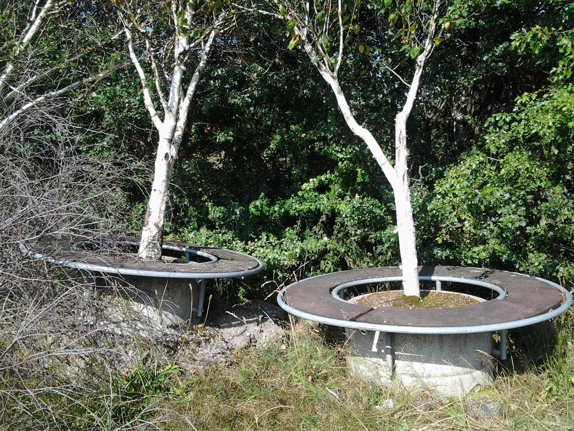 Tur i Forladt Sommerland Syd billede 28