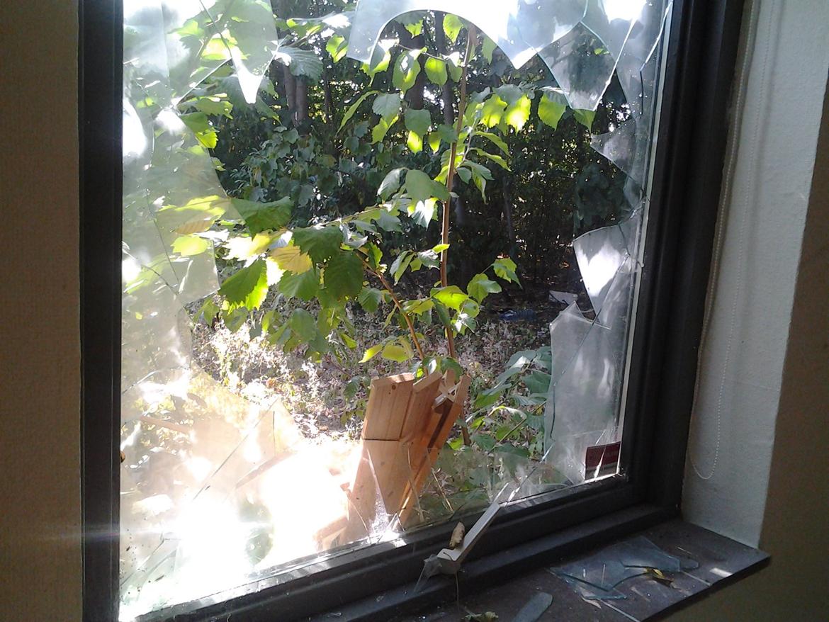 Tur i Forladt Sommerland Syd billede 50