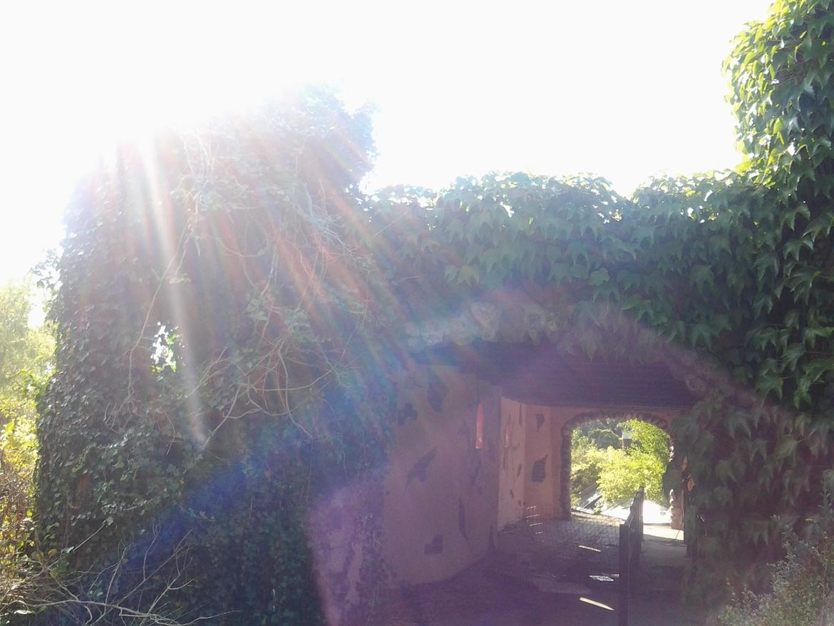 Tur i Forladt Sommerland Syd billede 58