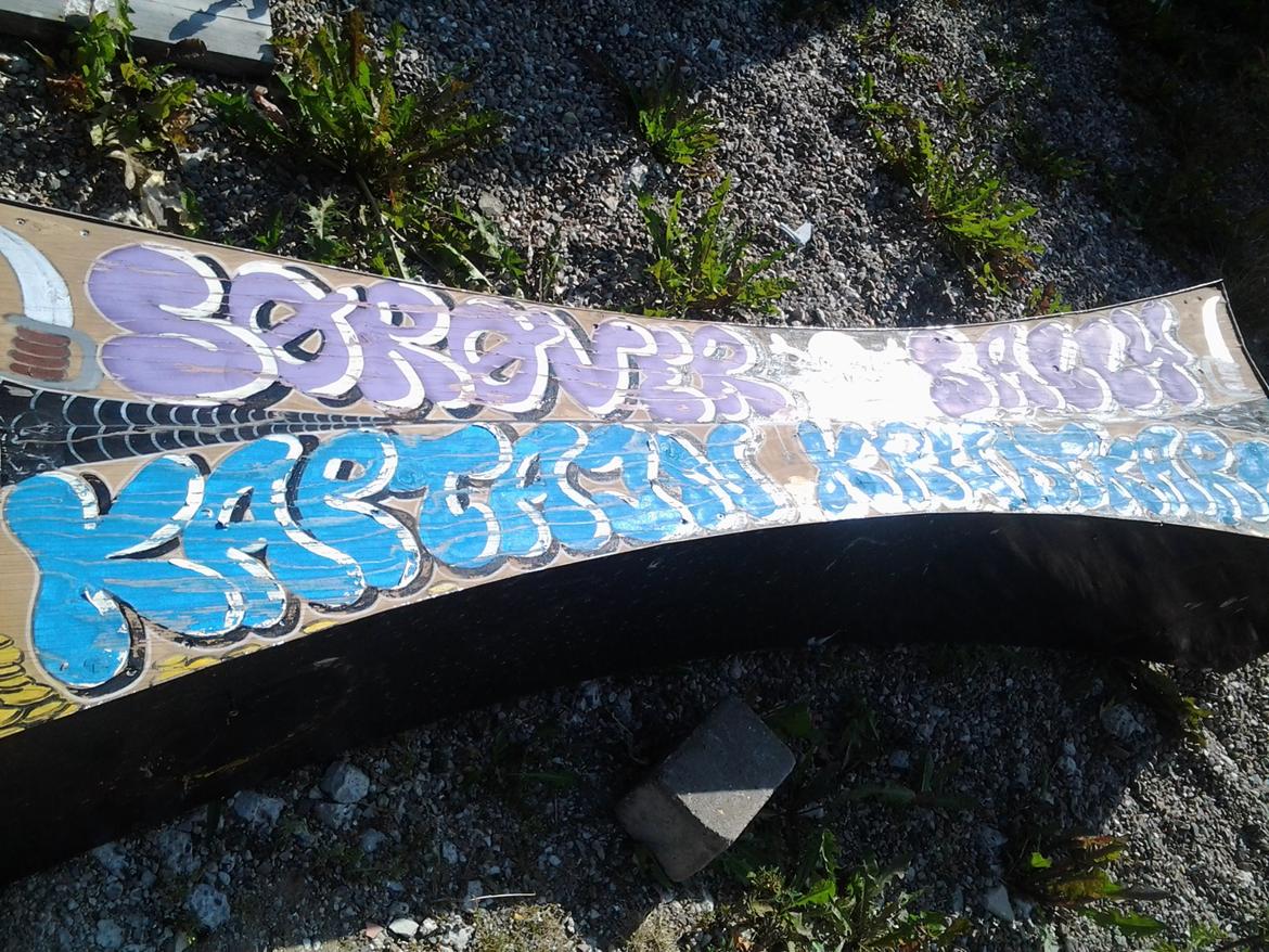 Tur i Forladt Sommerland Syd billede 73