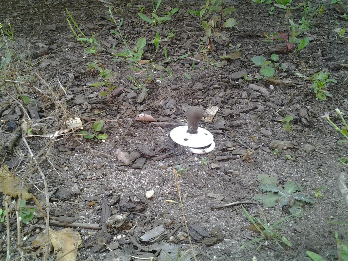 Tur i Forladt Sommerland Syd billede 76