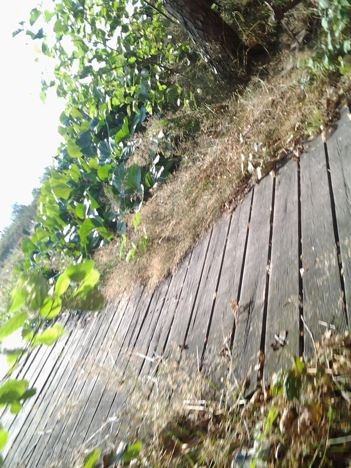 Tur i Forladt Sommerland Syd billede 79