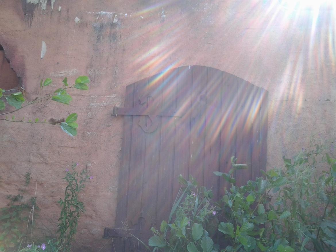 Tur i Forladt Sommerland Syd billede 80