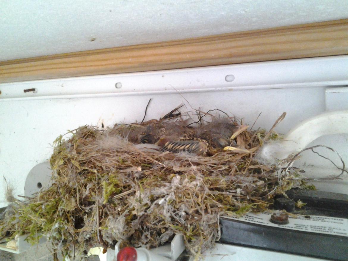 Tur i Forladt Sommerland Syd billede 89