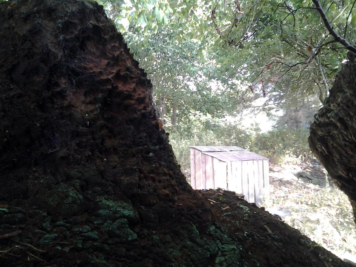 Tur i Forladt Sommerland Syd billede 93