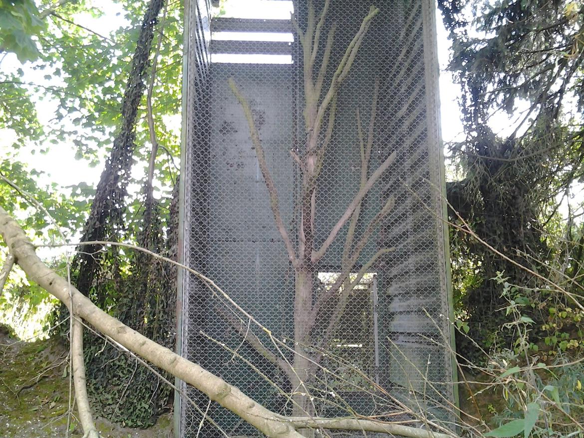 Tur i Forladt Sommerland Syd billede 94