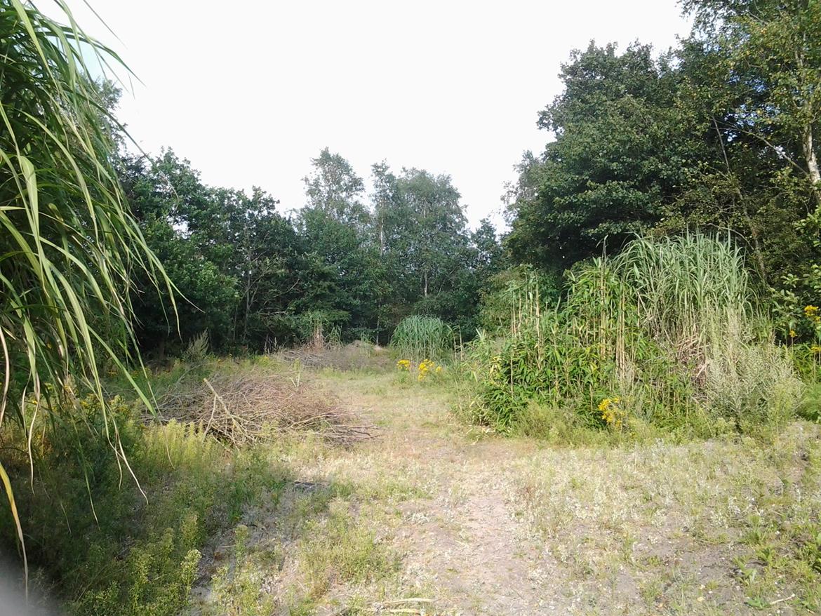 Tur i Forladt Sommerland Syd billede 98